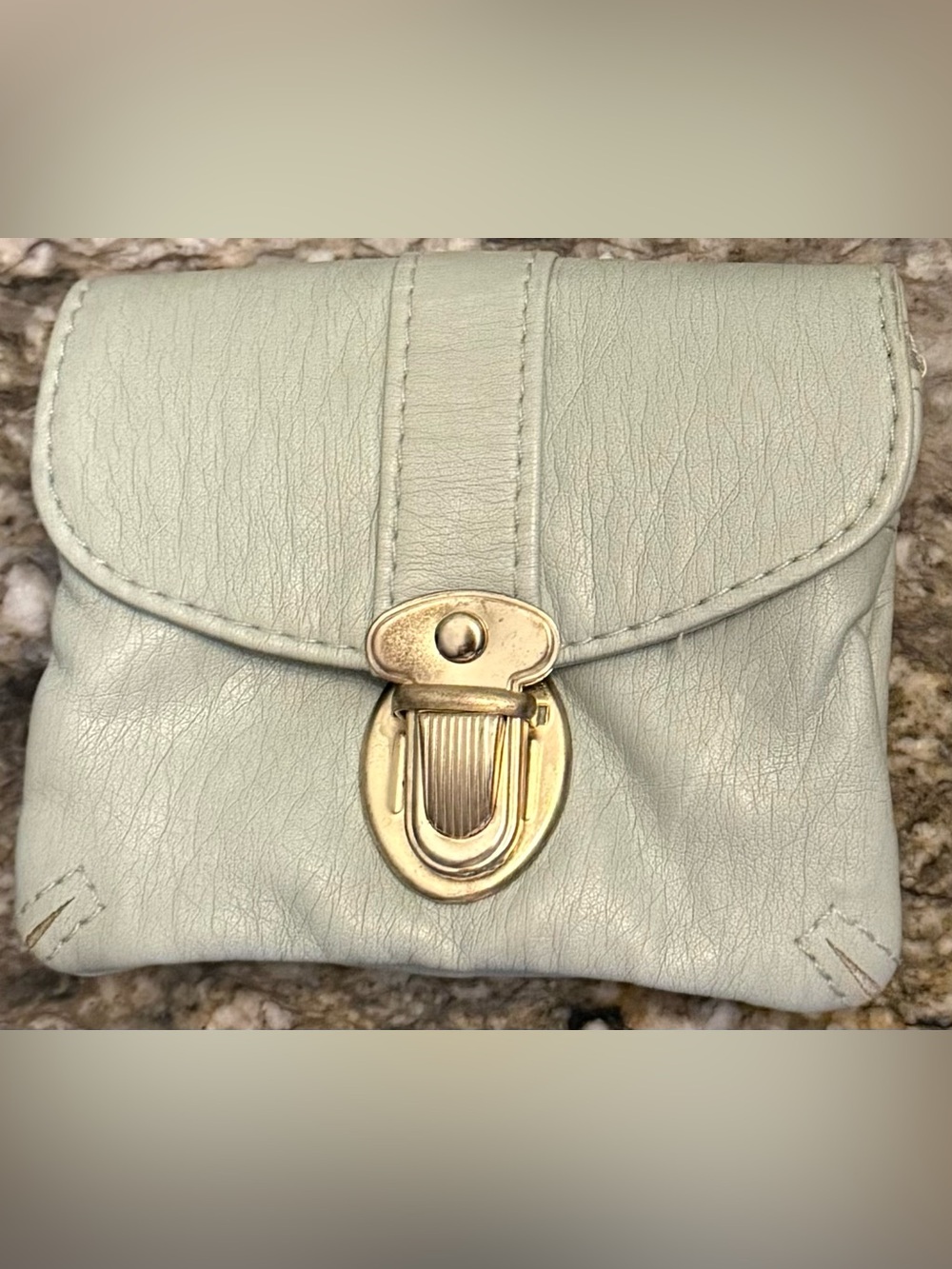 T-Shirts & Jeans  Women’s Leather Micro Wallet in Light Sage with Gold Hardware